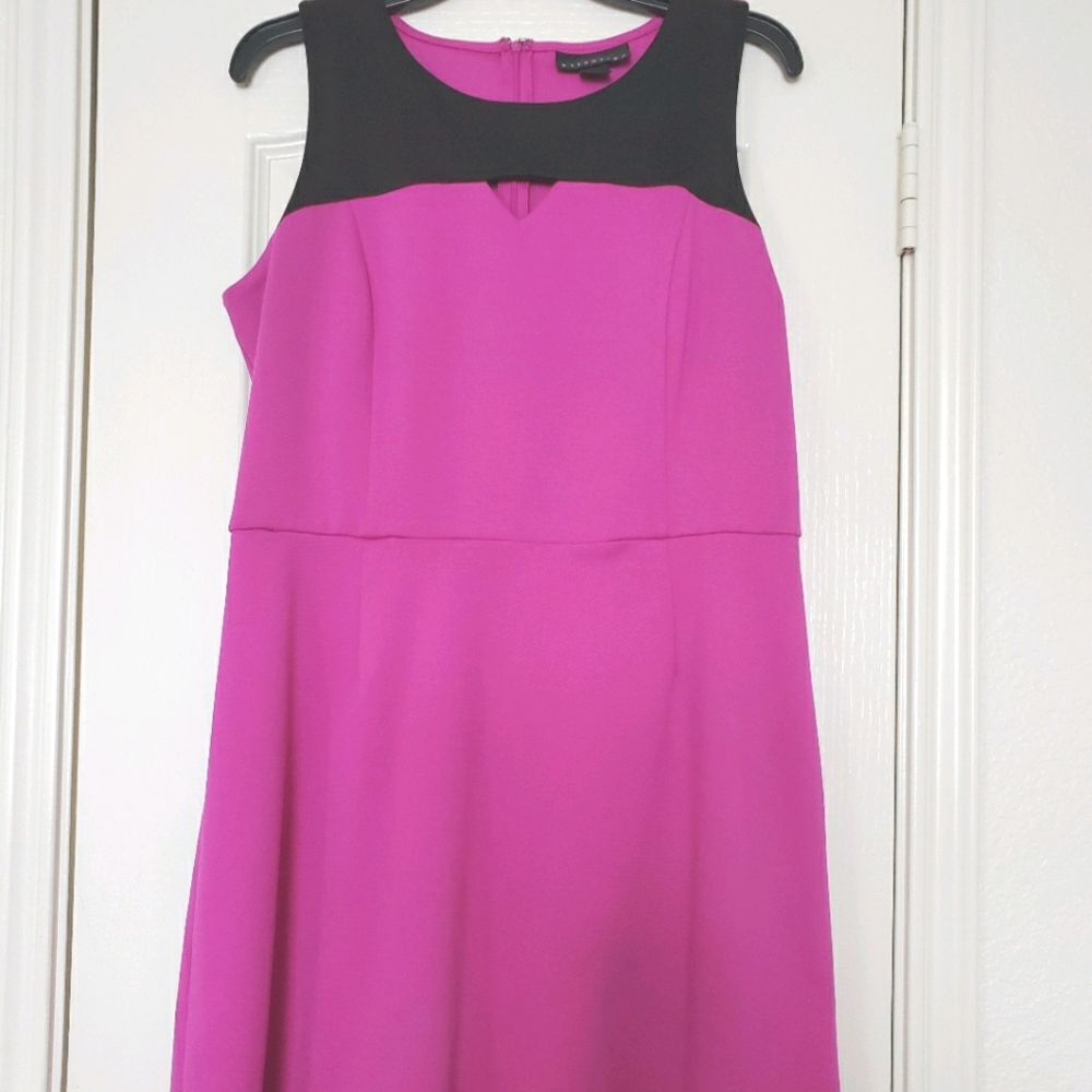 Attention purple and black womens dress